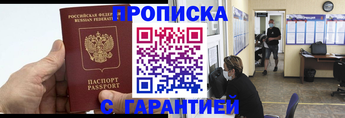прописка поиск в Щёкино